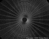 IMG089.GIF.gst.iff