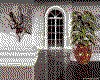IMG072.GIF.cst.iff