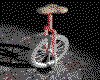 IMG056.GIF.cst.iff