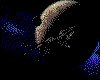 IMG032.GIF.cst.iff