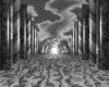 IMG021.GIF.gst.iff