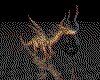 IMG011.GIF.cst.iff