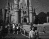 IMG040.GIF.gst.iff