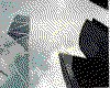 IMG037.GIF.cst.iff