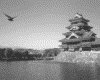 IMG025.GIF.gst.iff