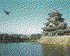 IMG025.GIF.cst.iff