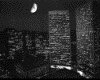 IMG018.GIF.gst.iff