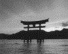 IMG014.GIF.gst.iff