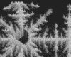 IMG076.GIF.gst.iff