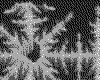 IMG076.GIF.cst.iff