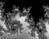 IMG072.GIF.gst.iff