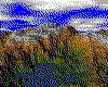 IMG059.GIF.cst.iff