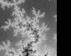 IMG049.GIF.gst.iff