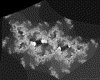 IMG045.GIF.gst.iff