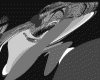 IMG038.GIF.gst.iff