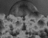 IMG037.GIF.gst.iff