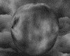 IMG035.GIF.gst.iff