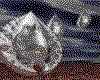 IMG027.GIF.cst.iff