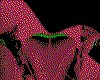 IMG025.GIF.cst.iff