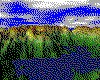 IMG013.GIF.cst.iff