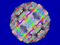 IMG011.GIF