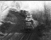 IMG039.GIF.gst.iff