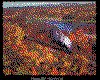 IMG036.GIF.cst.iff