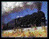 IMG034.GIF.cst.iff