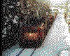 IMG033.GIF.cst.iff