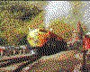 IMG029.GIF.cst.iff