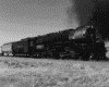 IMG023.GIF.gst.iff
