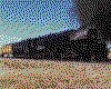IMG023.GIF.cst.iff