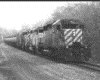 IMG020.GIF.gst.iff