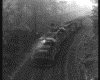 IMG019.GIF.gst.iff
