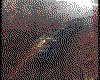 IMG019.GIF.cst.iff