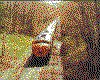 IMG015.GIF.cst.iff
