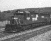 IMG010.GIF.gst.iff