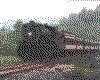 IMG009.GIF.cst.iff