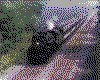 IMG007.GIF.cst.iff