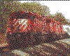 IMG003.GIF.cst.iff