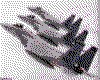 IMG060.GIF.cst.iff