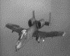 IMG052.GIF.gst.iff