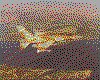 IMG046.GIF.cst.iff