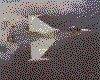 IMG044.GIF.cst.iff