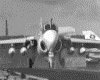 IMG043.GIF.gst.iff