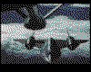 IMG042.GIF.cst.iff
