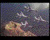 IMG039.GIF.cst.iff