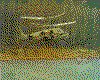 IMG038.GIF.cst.iff
