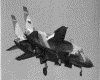 IMG037.GIF.gst.iff