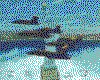 IMG036.GIF.cst.iff